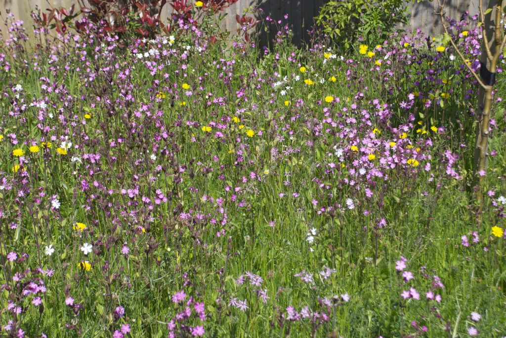 Gardens, Landscape and BREEAM advice