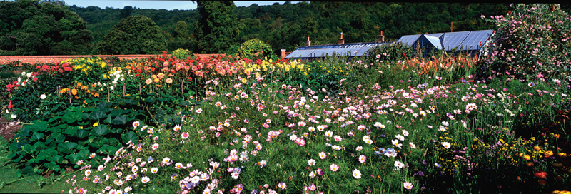 Walled Kitchen Garden Expert